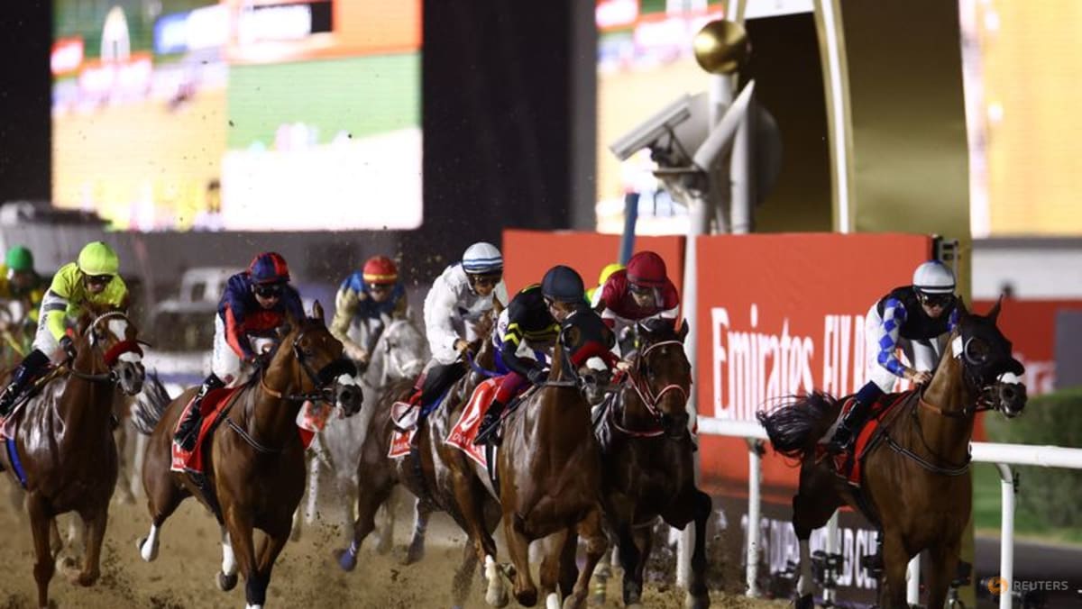 Horse racing-Dubai World Cup gallops on amid Middle East conflict