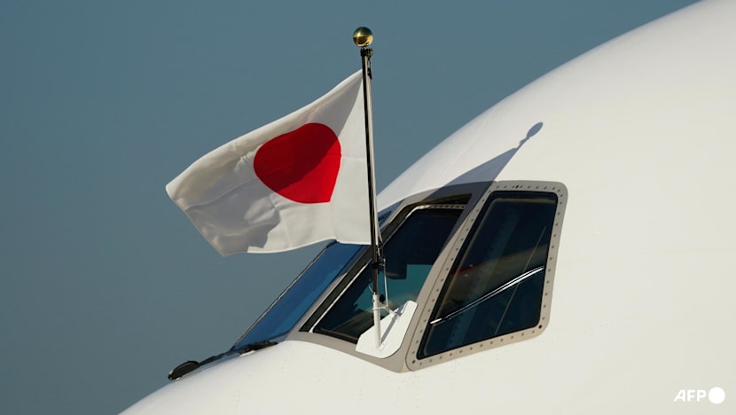 Japan launches DOGE-inspired office to cut budget waste