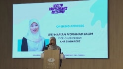 Related article image