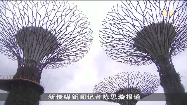 无照导游活动增 景点定期展开执法检查