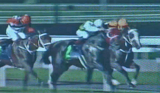 Singapore Turf Club: A lookback, through the archives