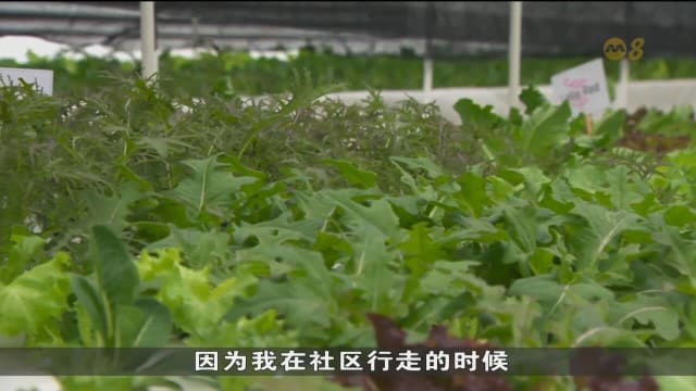 淡滨尼推空中花园 助特需青年发展社交和运动能力