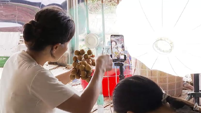 As typhoon risks grow, farmers in China’s Guangdong adapt to protect their livelihoods
