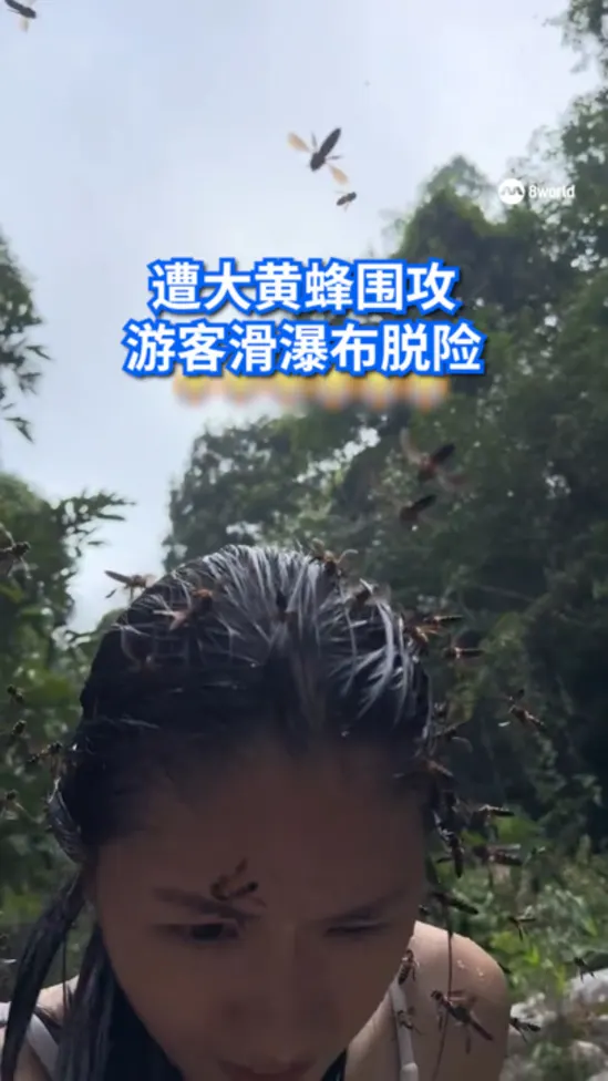 20260410_bee attack during outdoor trip_vod1