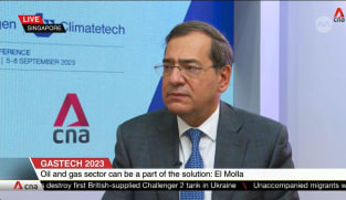 Egypt aims 42% of power generation from renewables by 2030: Minister