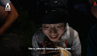 What's Coming Up - China's Night Boom