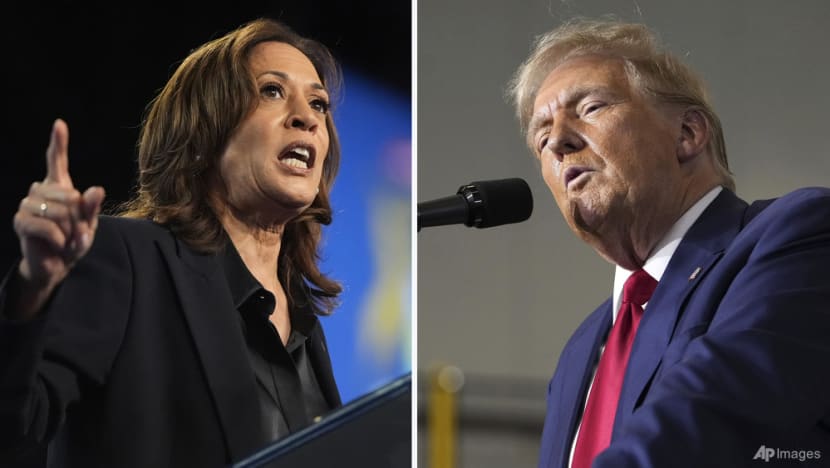 How the gender gap could be a deciding factor in the upcoming US presidential election How the gender gap could be a deciding factor in the upcoming US presidential election