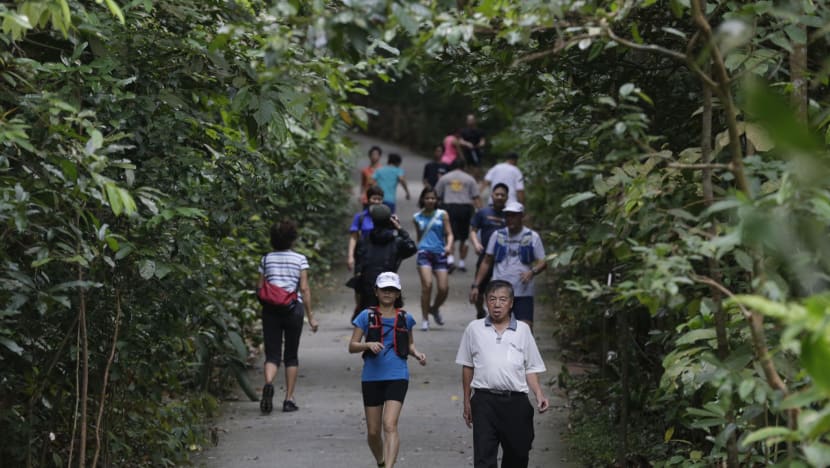 Bukit Timah Nature Reserve reopens after two years of restoration works
