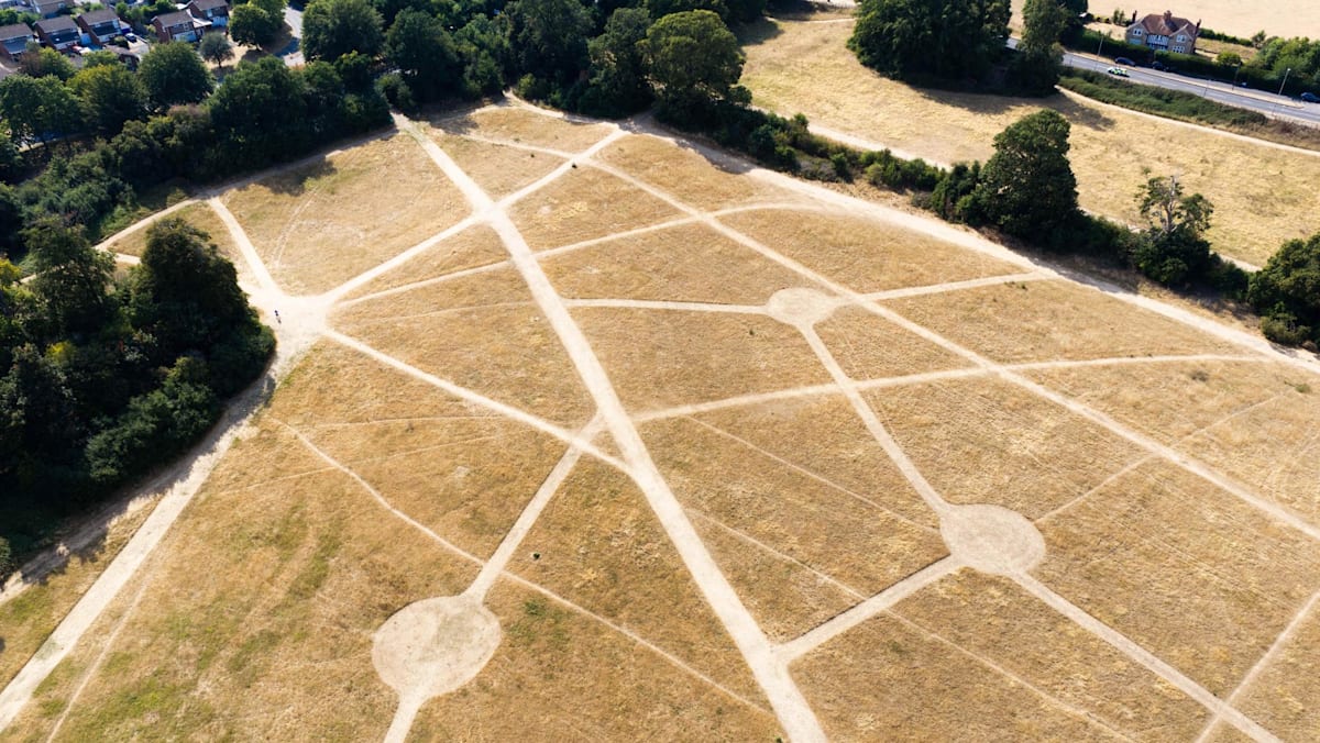Aerial view of a dry park with intersecting dirt paths and circular clearings surrounded by trees and houses.