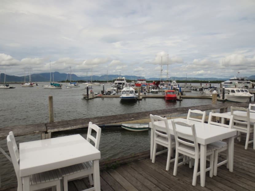 Of bulas and bull sharks