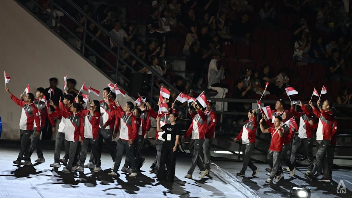 Commentary: It may be time to rethink Singapore’s Foreign Sports Talent Scheme and its future