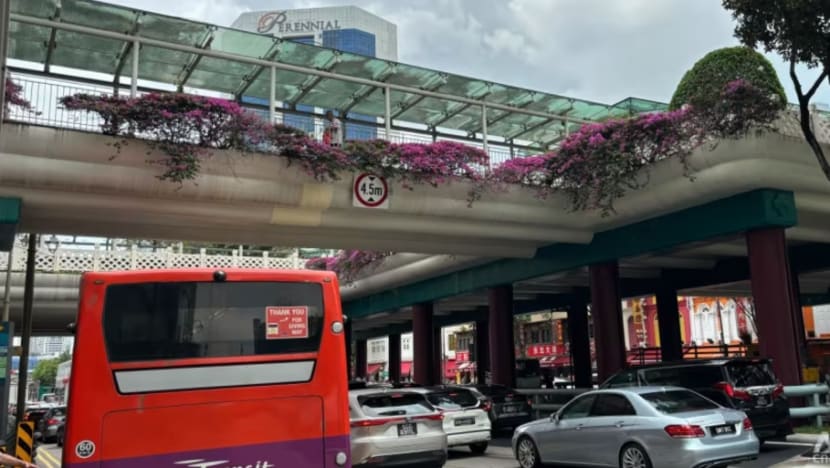 Pemandu lori didenda rempuh jambatan Chinatown dengan kren