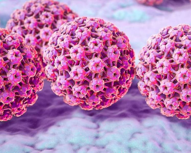 Men can protect themselves against penile, anal cancers with HPV vaccination