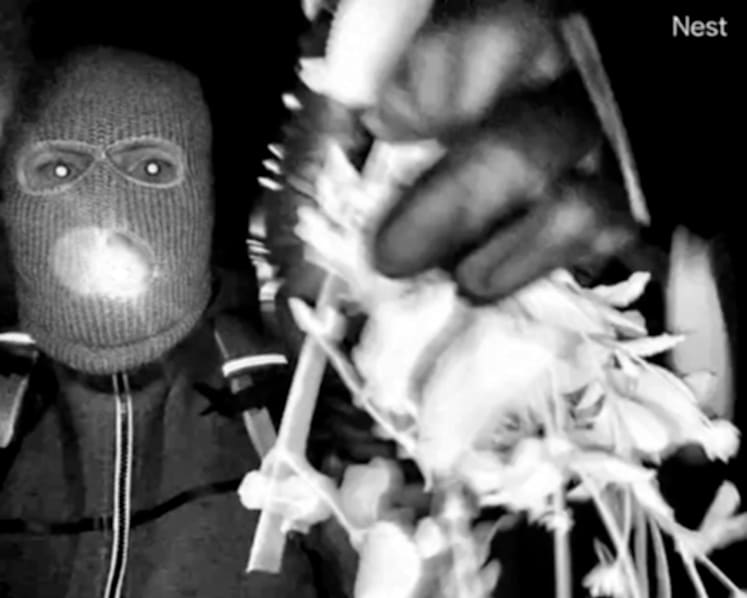 FBI releases first surveillance images of masked person on Nancy Guthrie's porch