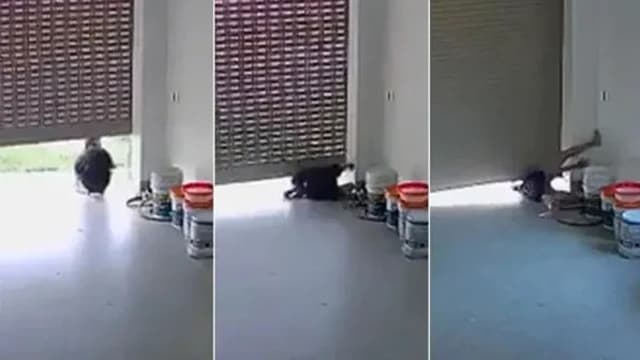 越南女童新家玩铁卷门被压倒 四分钟内断气