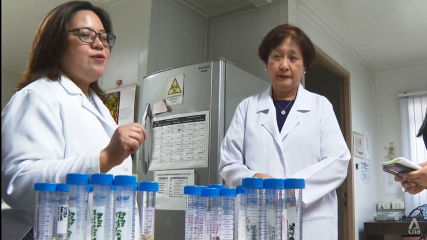 Scientists hope to bank on local vaccine as leptospirosis cases hit 5-year high in Philippines Scientists hope to bank on local vaccine as leptospirosis cases hit 5-year high in Philippines