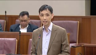 Motion: Terence Ho on government response to political salaries review