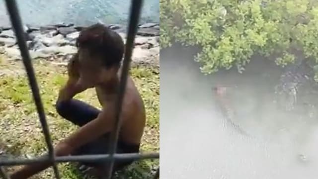 鳄鱼生擒一岁娃 父欲救人被咬至重伤