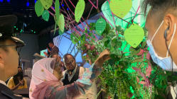 Related article image