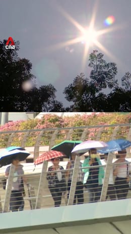 Bangkok's heat reaches 'extreme danger' levels; could this be Singapore's future? 