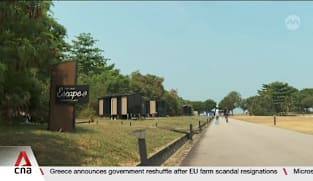 Singapore should focus on premium, design-led experiences for eco-tourism: Expert 