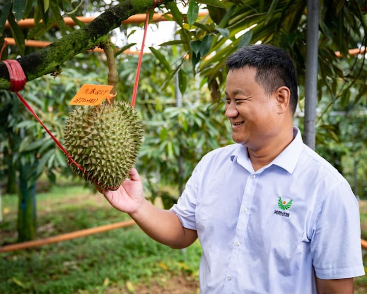 Can China grow its own durians?