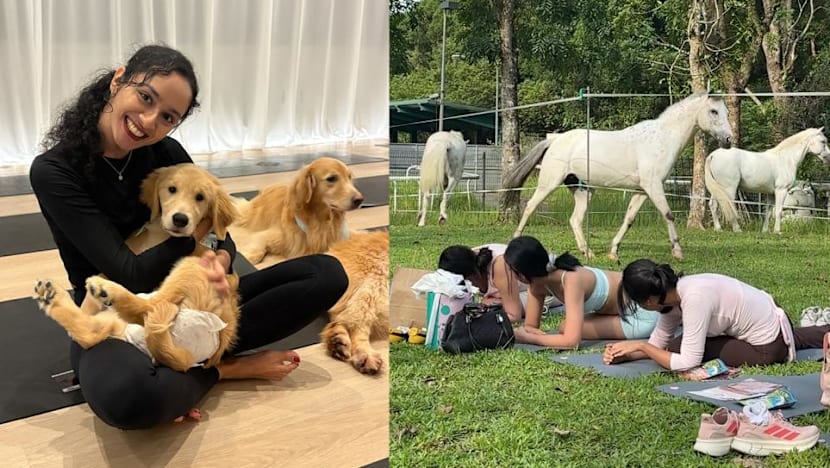 Singapore Unveils Unconventional Fitness Classes Featuring Animals