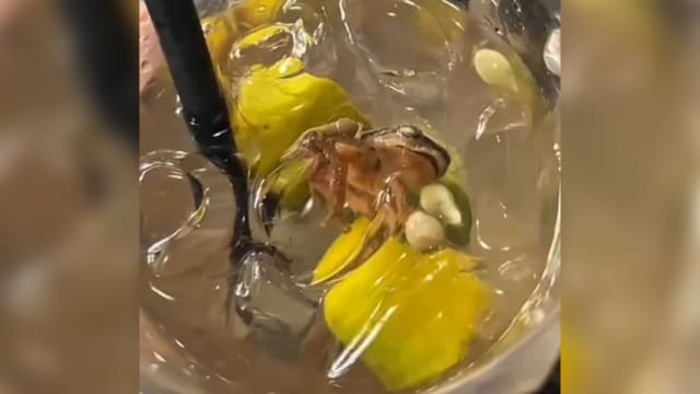 冰饮里飘“奇怪大酸梅” 马女喝一半惊悉是死青蛙