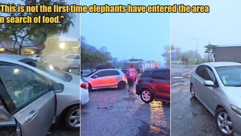 Gambar Pilihan Hari Ini