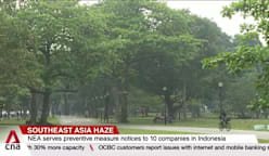 Southeast Asia haze: 10 Singapore firms ordered to give details of links to Indonesian plantations 