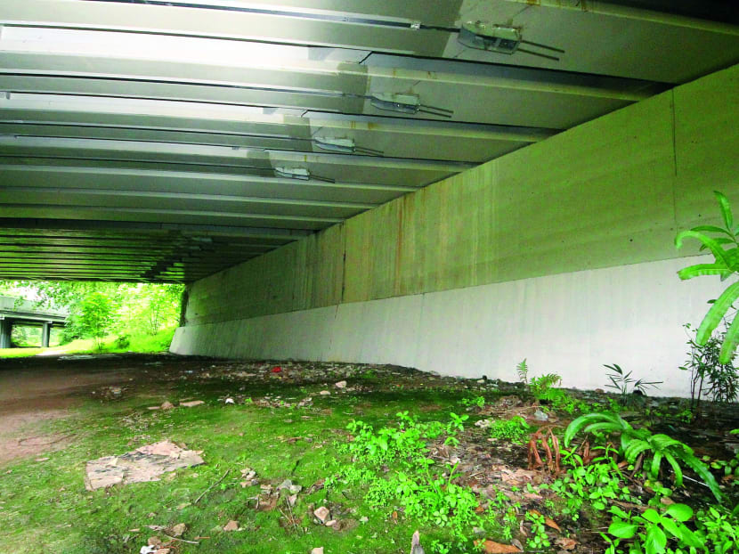 New space for street artists along Rail Corridor