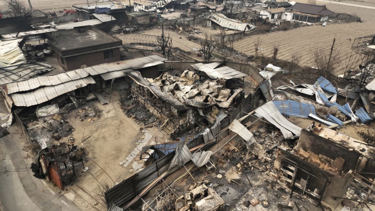 ‘I can only cry’: Homes, cultural heritage sites destroyed in South Korea’s deadliest wildfires on record ‘I can only cry’: Homes, cultural heritage sites destroyed in South Korea’s deadliest wildfires on record