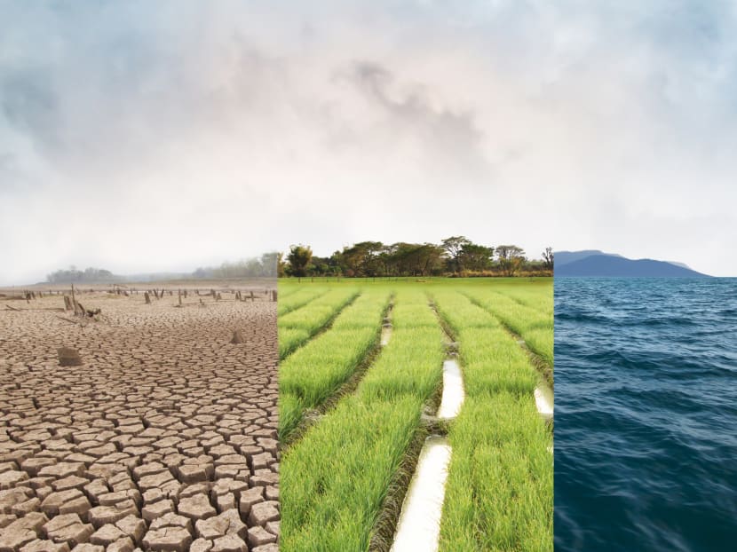 COP26: 10 reasons why it’s an important moment in the climate change fight COP26: 10 reasons why it’s an important moment in the climate change fight