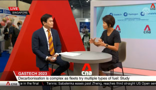 Zero-carbon fuels are crucial for the shipping industry to reach net-zero emissions: CEO