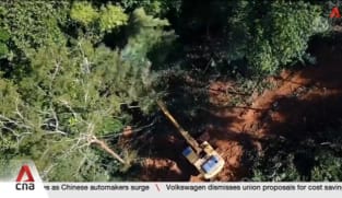 EU lawmakers delay implementation of anti-deforestation rules