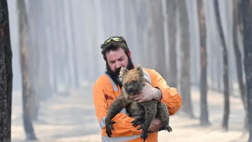 Gambar Pilihan Hari Ini