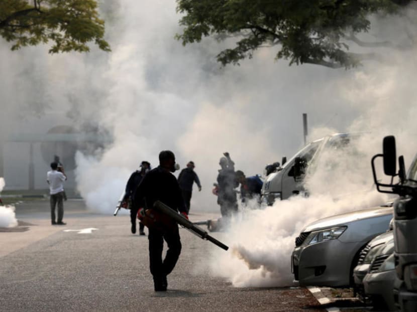 The National Environment Agency says fogging should be used judiciously.