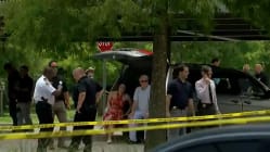 Related article image