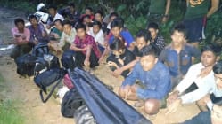 Related article image