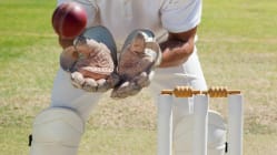 Related article image