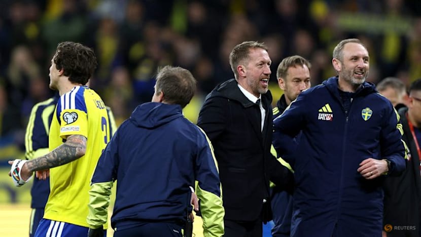 Sweden’s 'great escape' complete as Potter clinches World Cup berth