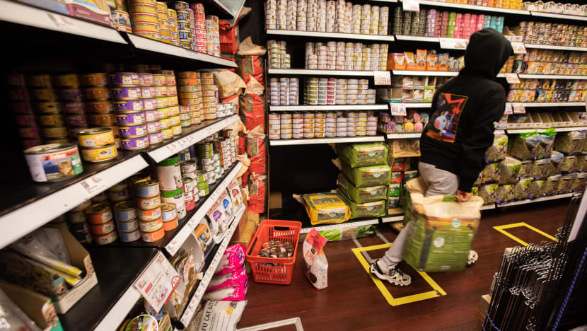 Shark DNA found in some pet food products sold in Singapore: Yale-NUS study