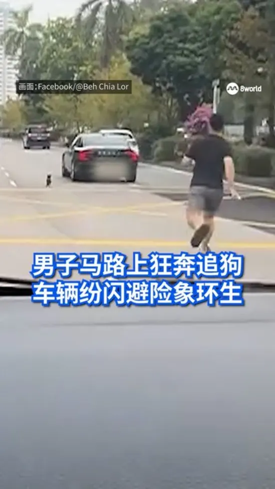20260921_news_man-chase-dog_vod_01