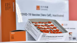 Related article image