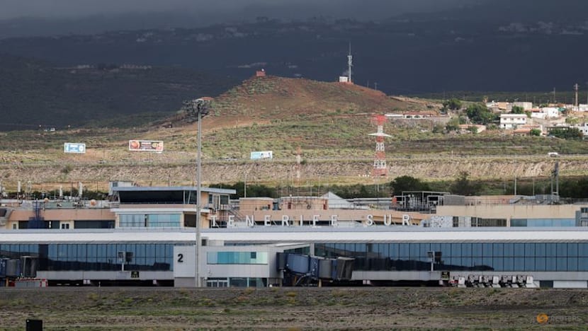 European states to send planes to evacuate citizens from hantavirus-hit cruise ship