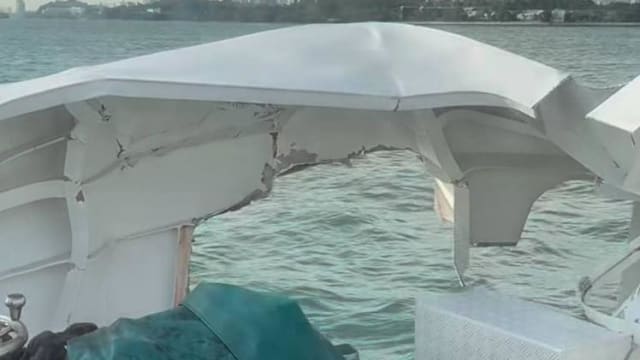 本地注册渡轮与货轮碰撞事件 无人受伤或海域污染