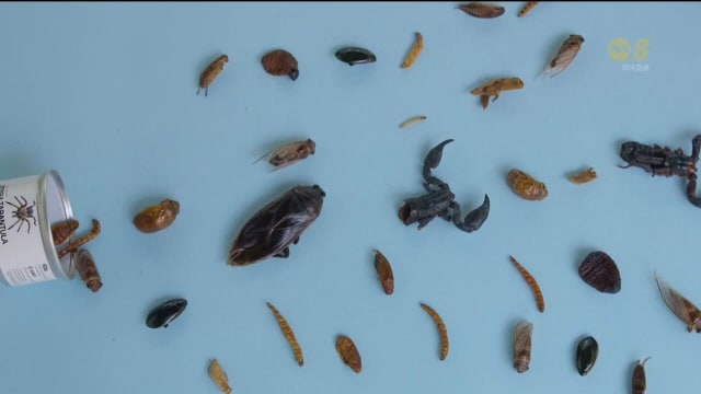 食品局将批准昆虫可食用 餐饮业者部署将昆虫入菜