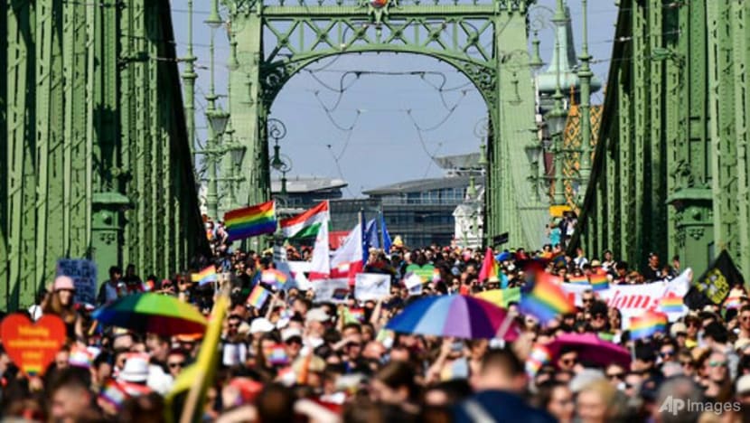 Thousands march in Hungary Pride parade to oppose LGBT law