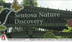 New space to spotlight Sentosa's biodiversity, conservation efforts 