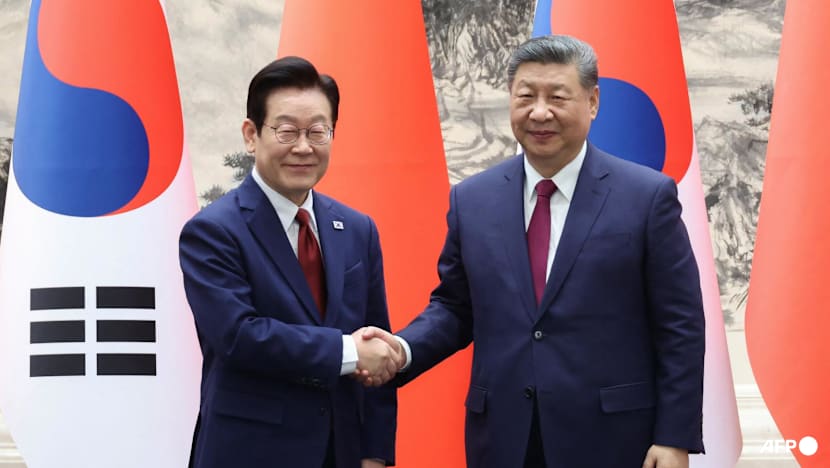 South Korea's Lee snaps Xi selfie with Chinese 'backdoor' phone - CNA